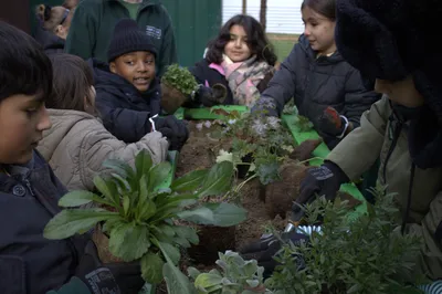 Gallery - created at 2025-11-18 16:17:01 - image 9