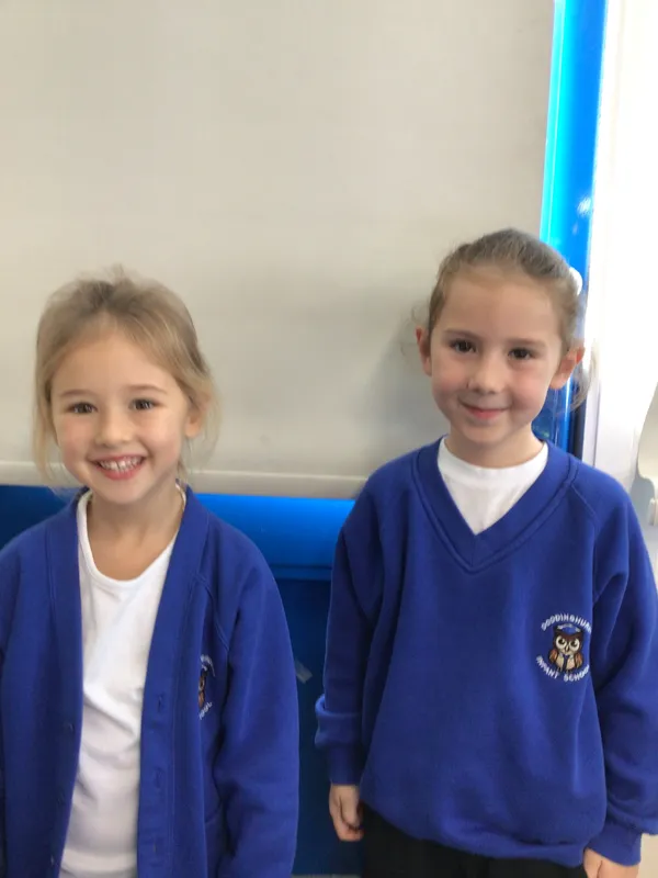 School Council - image 4 School Council - image 4