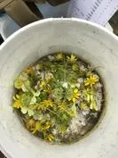 Forest School 133 - image 4 Forest School 133 - image 4