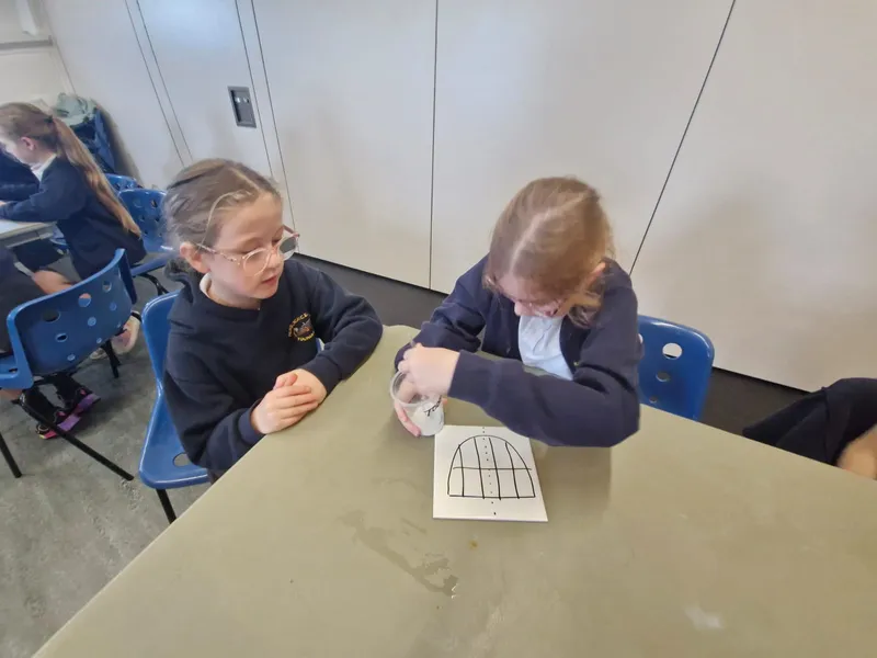 Rigby Catalyst Trip 05.11.25 - image 11