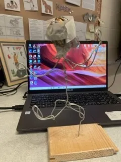 Gallery - created at 2023-03-21 13:01:28 - image 7