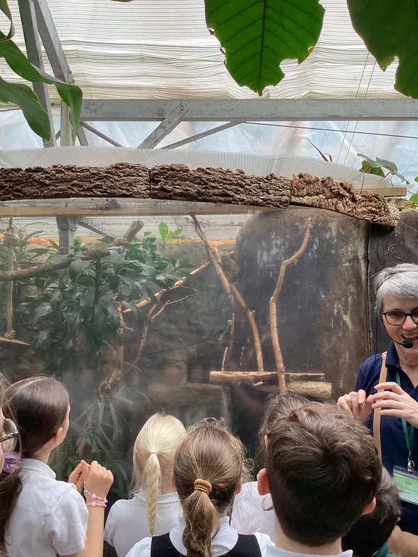 Gallery - created at 2025-03-14 10:11:21 - image 22 Gallery - created at 2025-03-14 10:11:21 - image 22