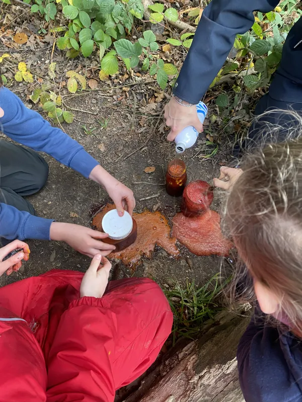 Gallery - created at 2025-11-08 17:50:52 - image 16 Gallery - created at 2025-11-08 17:50:52 - image 16