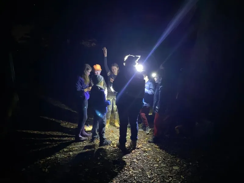 Gallery - created at 2022-10-22 14:49:24 - image 11