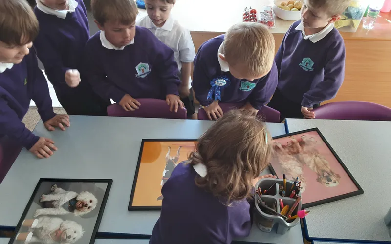 Gallery - created at 2024-09-26 10:17:01 - image 7 Gallery - created at 2024-09-26 10:17:01 - image 7