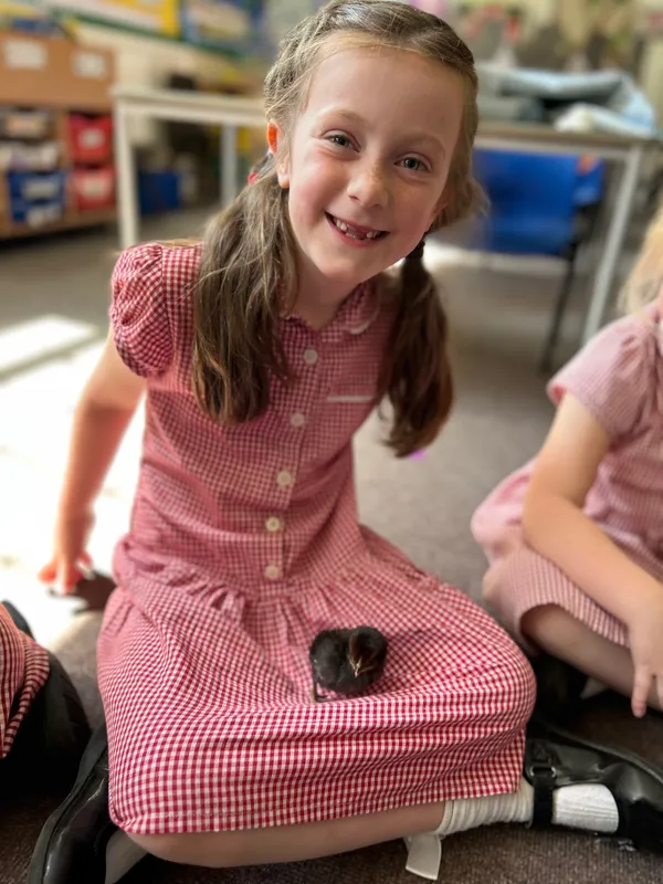 Gallery - created at 2025-05-15 20:09:46 - image 4