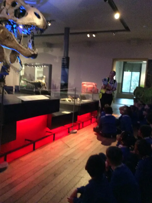 Gallery - created at 2024-02-09 11:53:37 - image 76