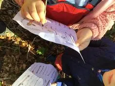 Forest School 105 - image 3 Forest School 105 - image 3