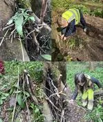 Forest School 72 - image 3 Forest School 72 - image 3