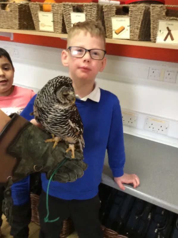 Gallery - created at 2024-02-26 17:15:57 - image 4 Gallery - created at 2024-02-26 17:15:57 - image 4