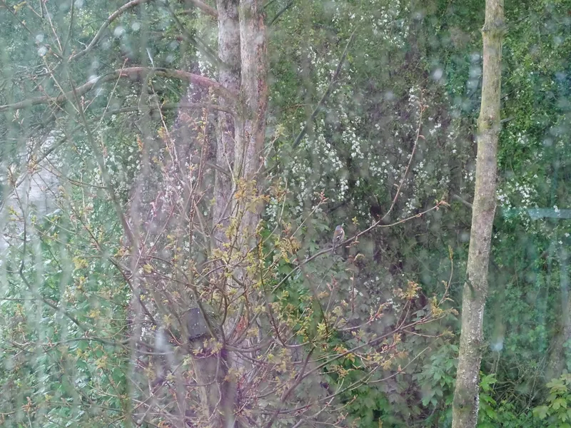 Gallery - created at 2019-05-17 14:29:26 - image 20 Gallery - created at 2019-05-17 14:29:26 - image 20