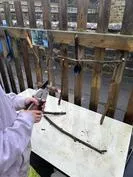 Forest School 48 - image 3 Forest School 48 - image 3