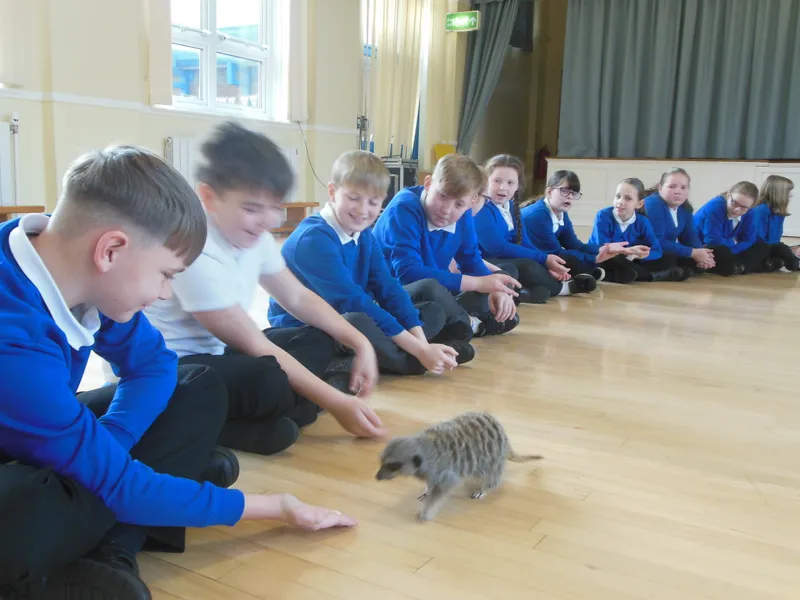 Y6 Reptile Rendezvous - image 21