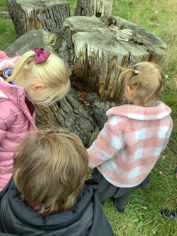 Nursery RE Creation - image 23 Nursery RE Creation - image 23