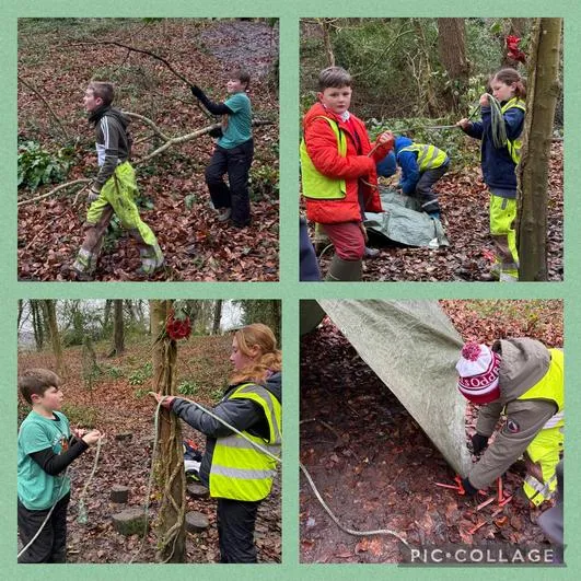 Forest School 21 - image 2 Forest School 21 - image 2