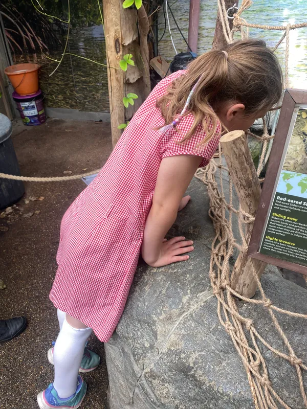 Gallery - created at 2025-06-20 13:57:48 - image 13