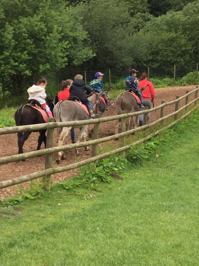 Smithills Farm - image 4