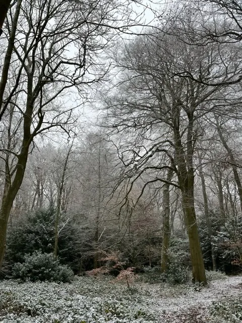 Gallery - created at 2022-12-13 08:04:26 - image 13