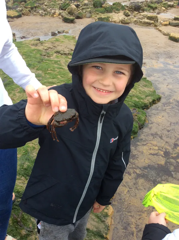 Gallery - created at 2024-05-23 10:29:28 - image 7