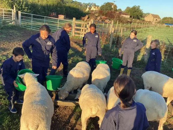 Farm Trip 25 - Gallery 2 - image 36