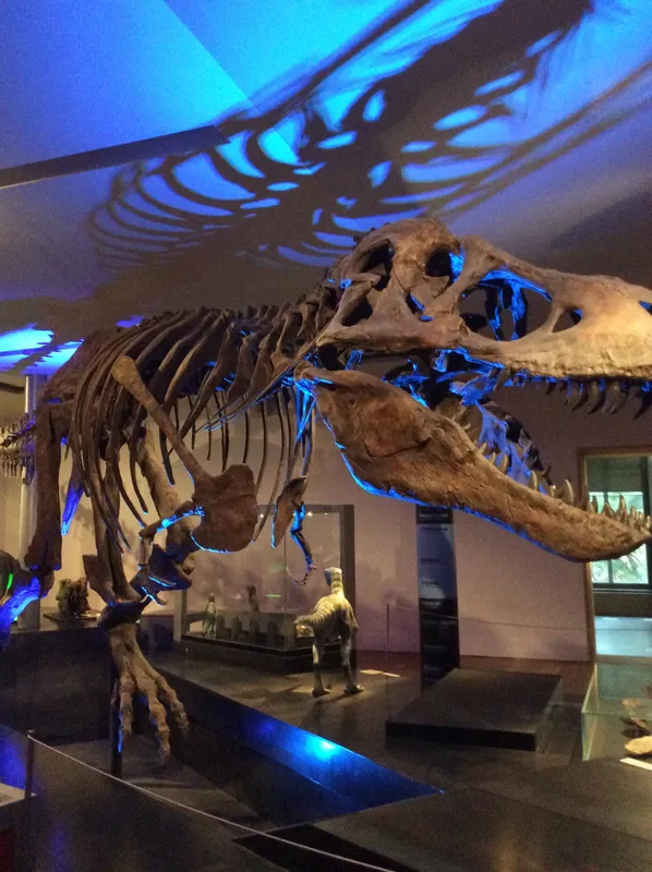 Gallery - created at 2024-02-09 11:53:37 - image 73