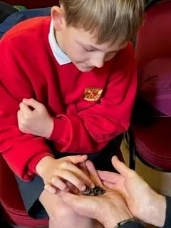 Gallery - created at 2023-03-01 14:01:13 - image 19