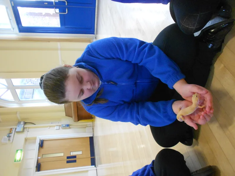 Y6 Reptile Rendezvous - image 33