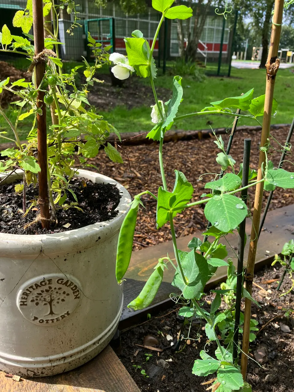 Gallery - created at 2023-09-07 16:46:06 - image 24 Gallery - created at 2023-09-07 16:46:06 - image 24