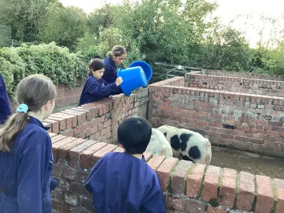 Farm Trip 25 - Gallery 2 - image 37