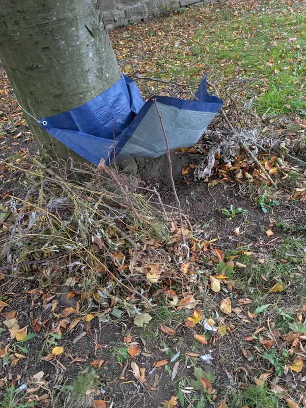 Gallery - created at 2025-10-16 16:10:32 - image 5