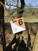 Forest School 135 - image 2 Forest School 135 - image 2