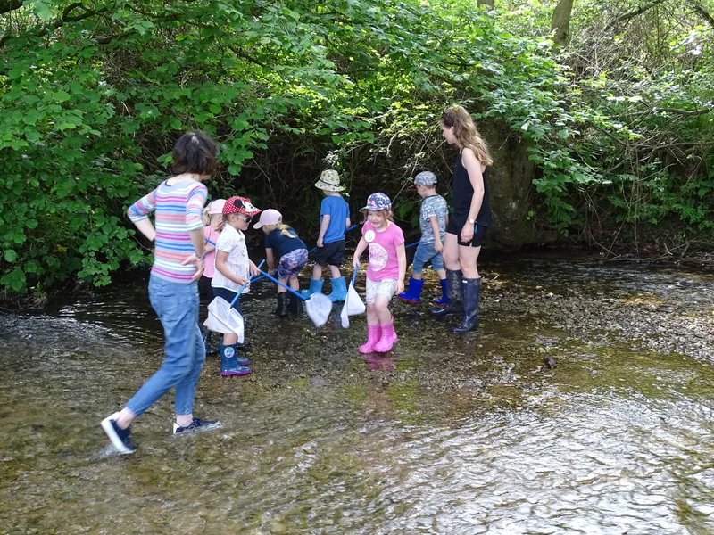 Gallery - created at 2019-07-12 14:19:38 - image 17 Gallery - created at 2019-07-12 14:19:38 - image 17