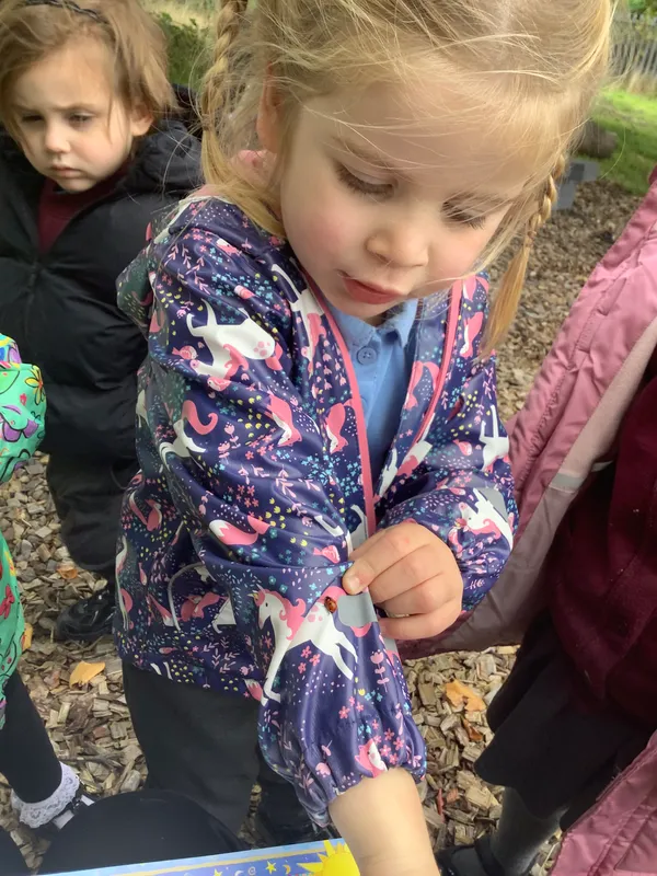 Nursery RE Creation - image 7 Nursery RE Creation - image 7