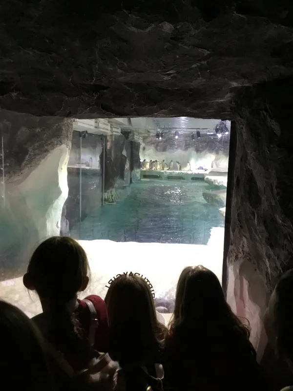 Year 5 Sealife Centre  - image 42