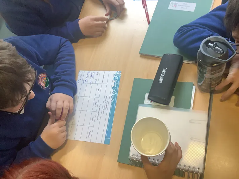 Y6 Science Heart - image 1