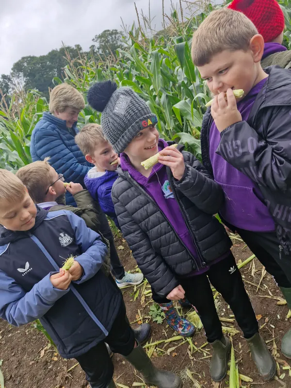 Gallery - created at 2024-10-02 11:38:57 - image 7 Gallery - created at 2024-10-02 11:38:57 - image 7