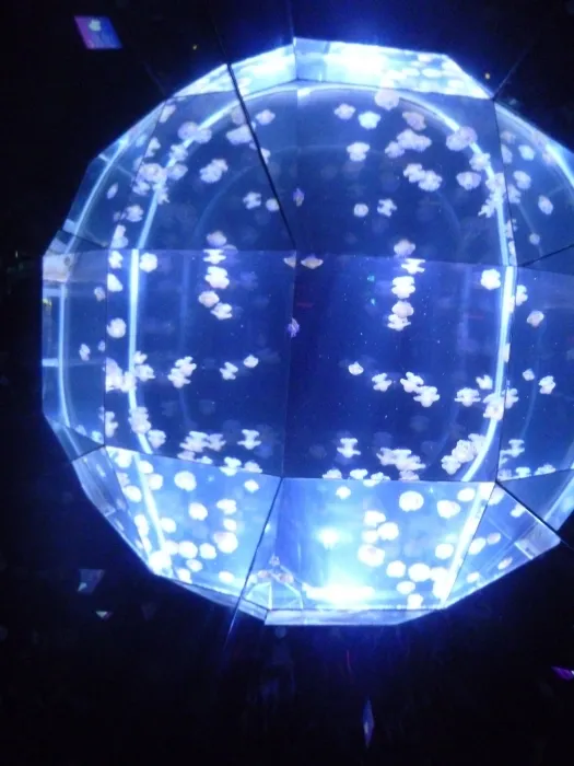 Gallery - created at 2018-07-13 21:34:54 - image 18 Gallery - created at 2018-07-13 21:34:54 - image 18
