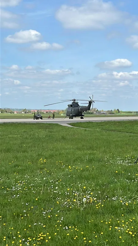 Gallery - created at 2023-05-03 15:44:55 - image 6