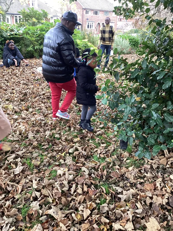 Gallery - created at 2024-11-08 10:10:59 - image 39 Gallery - created at 2024-11-08 10:10:59 - image 39