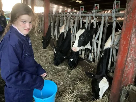 Farm 2025 - Gallery 3 - image 5