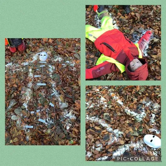 Forest School 24 - image 1 Forest School 24 - image 1