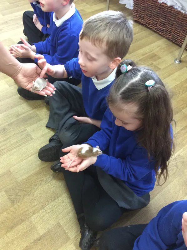 Gallery - created at 2024-03-05 13:52:56 - image 61 Gallery - created at 2024-03-05 13:52:56 - image 61