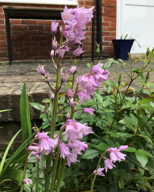 Gallery - created at 2022-12-06 11:29:49 - image 5