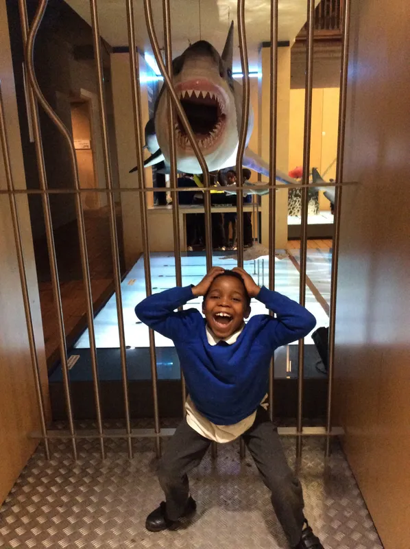 Gallery - created at 2024-02-09 11:53:37 - image 48