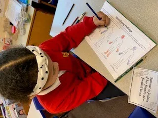 Gallery - created at 2024-02-24 16:30:38 - image 3