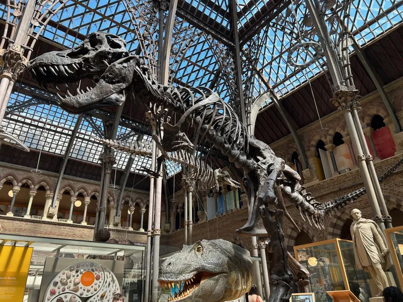 Gallery - created at 2025-05-15 20:19:39 - image 1