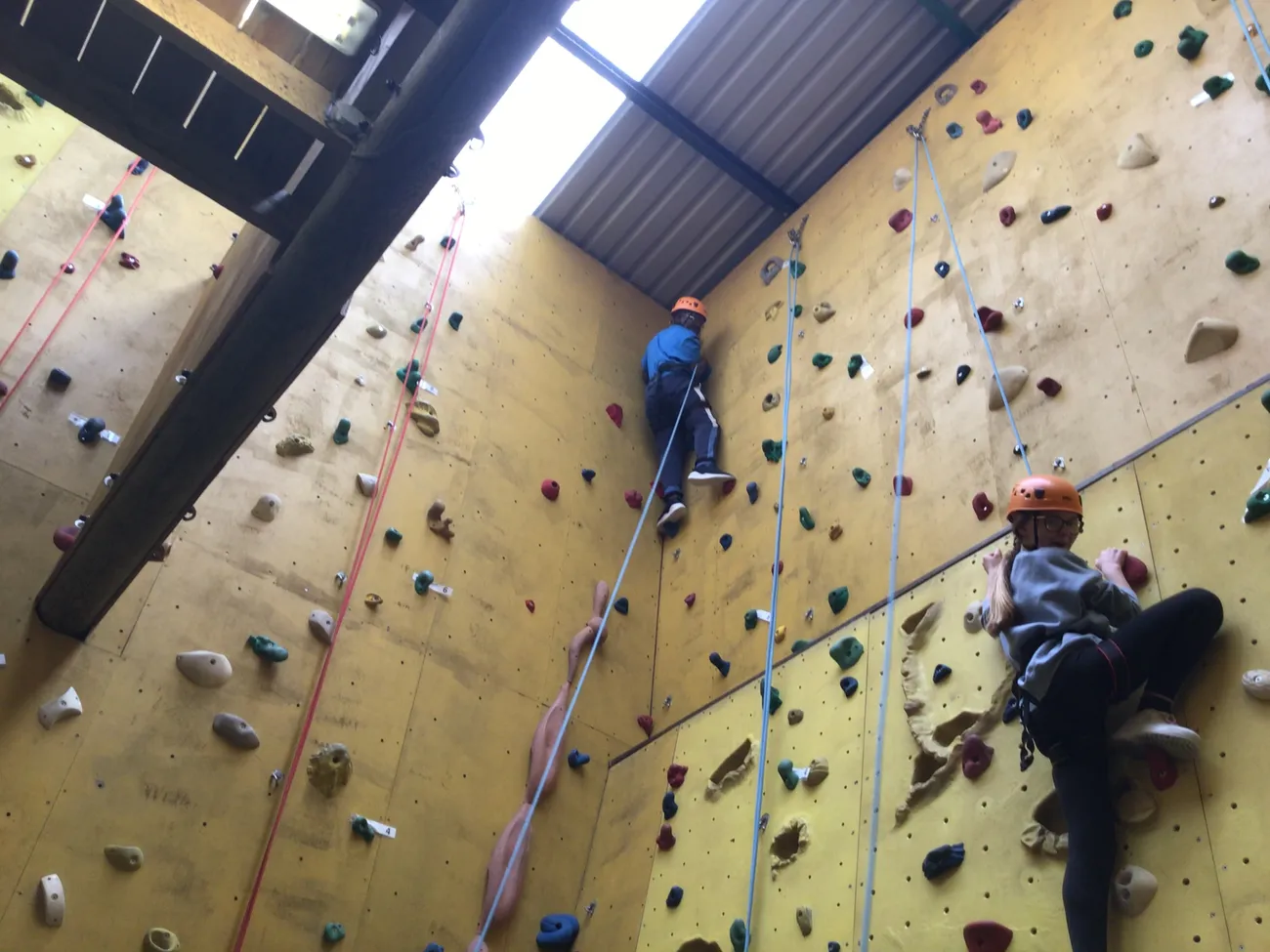 Gallery - created at 2022-06-08 23:46:14 - image 15 Gallery - created at 2022-06-08 23:46:14 - image 15