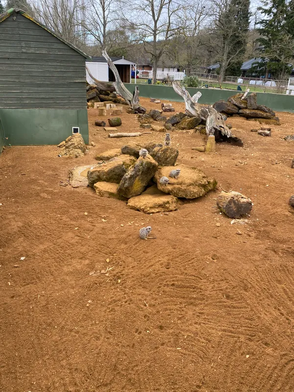 Gallery - created at 2023-02-28 20:50:59 - image 12 Gallery - created at 2023-02-28 20:50:59 - image 12