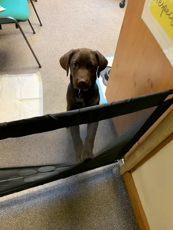 Gallery - created at 2021-06-30 13:57:57 - image 8