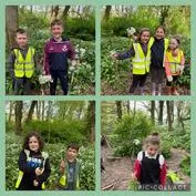 Forest School 9 - image 4 Forest School 9 - image 4